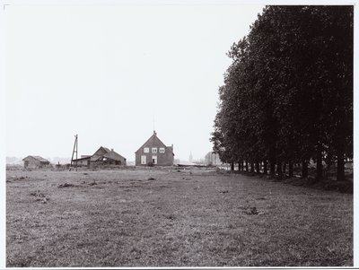 Geschiedenis Jong Brabant